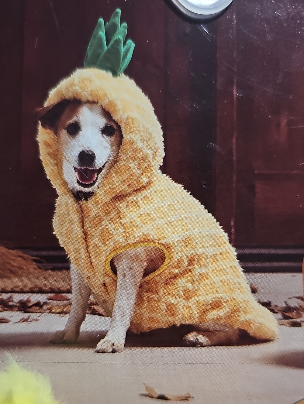 Witch Crafters Yellow Pineapple Plush Dog Costume New With Tags